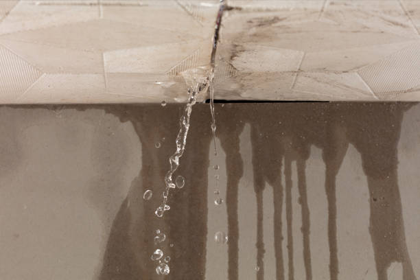 Professional Structural Drying technician working in Midland, OH